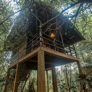 Hotel On The Tree Eco Sigiriya, Kibissa